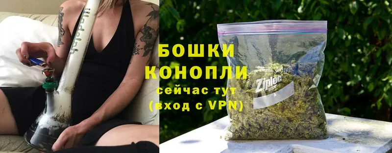 Канабис SATIVA & INDICA  даркнет сайт  Гатчина 